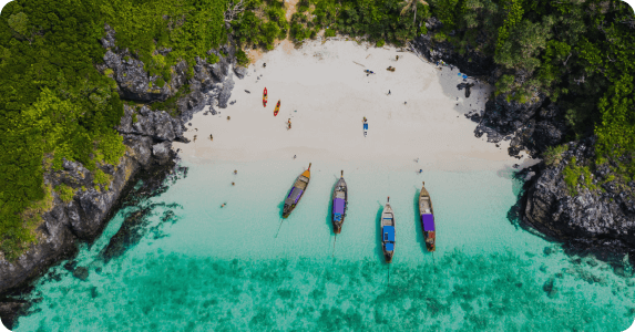 Indonesia Nature Photo